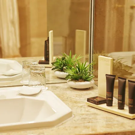 酒店 道松维拉酒店 南锡