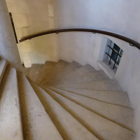 酒店 道松维拉酒店